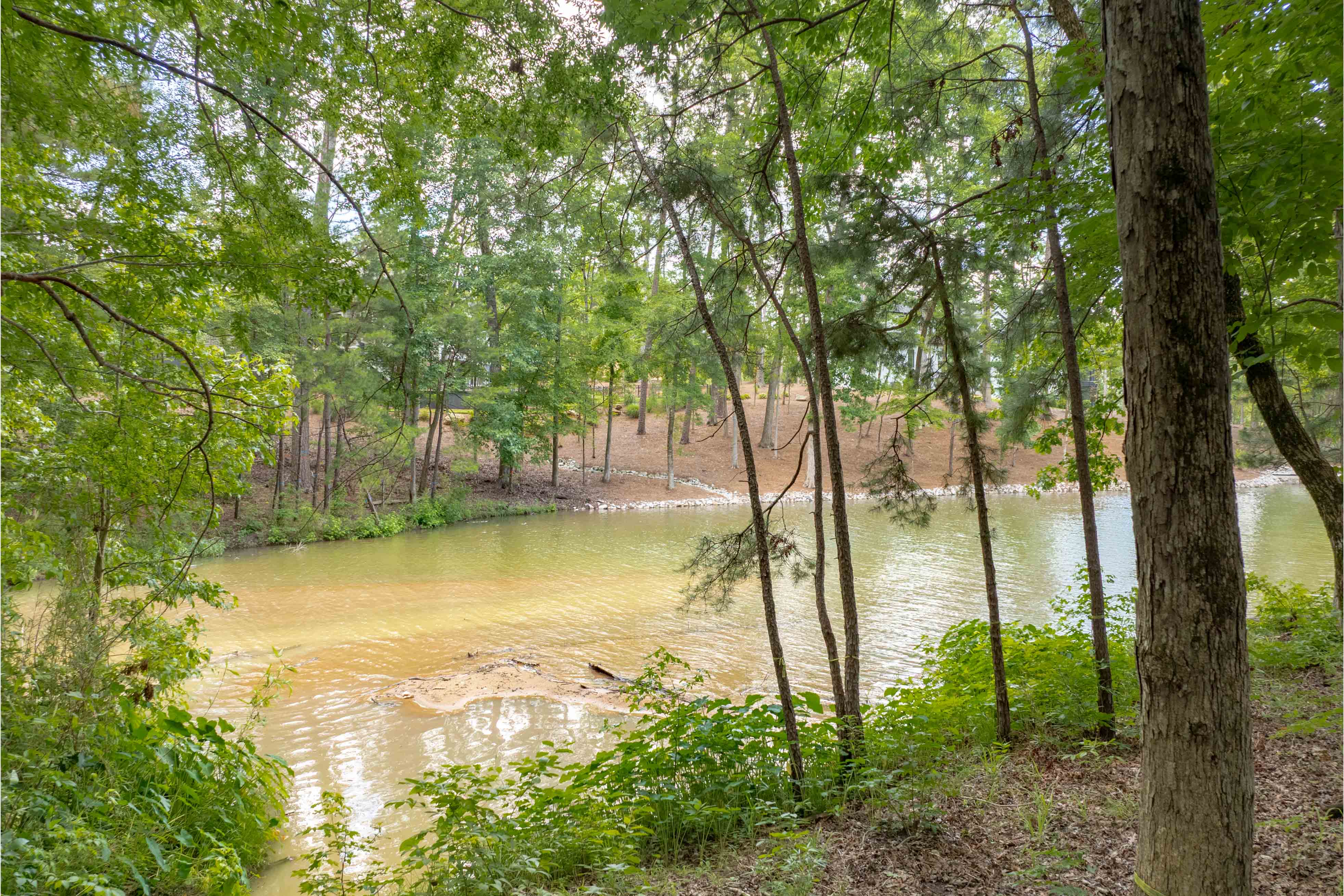 1100 High Bluff Lane image 12